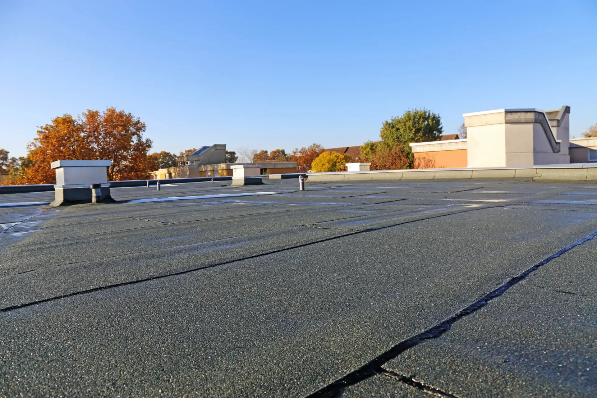 Flat Roofs in Horsham